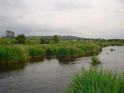 aa