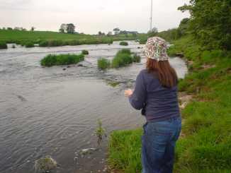 aa