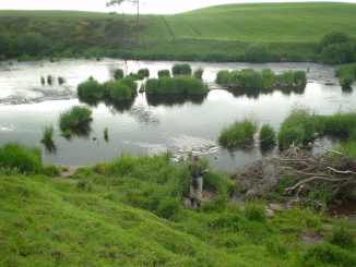 aa