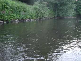 aa