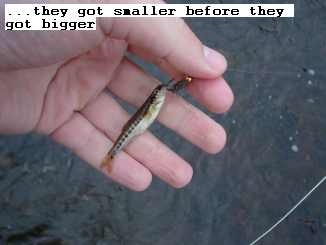 smaller