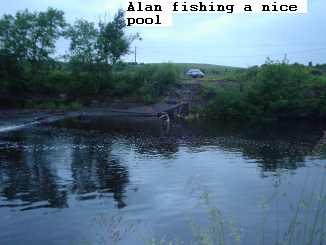 alan