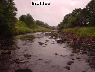 riffles