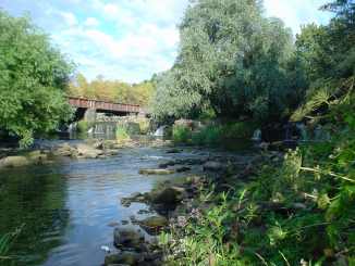 bishops mill