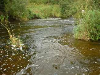 aa