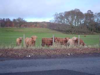 aa