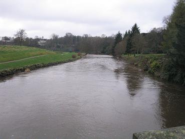 muddy water