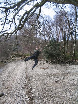 allyswinging