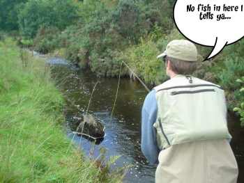 aa