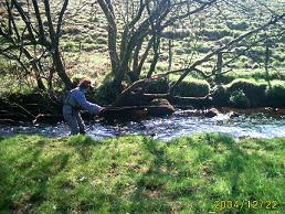 aa